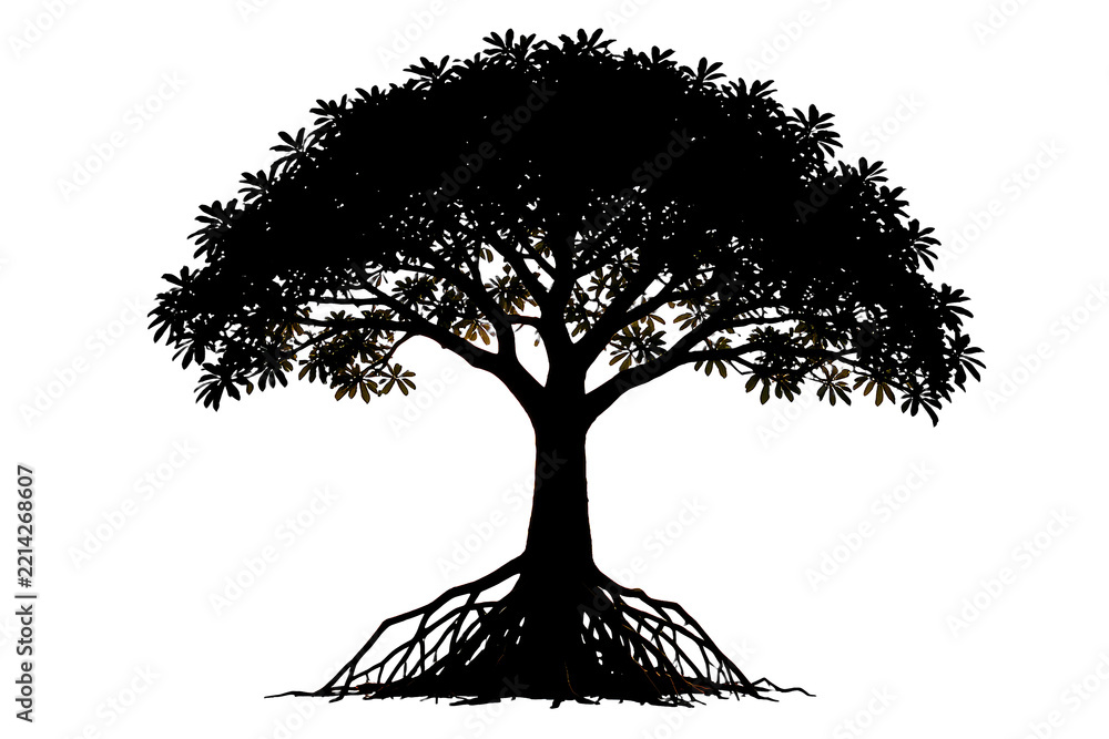 Fototapeta premium Red Mangrove Tree Silhouette Isolated on White Background
