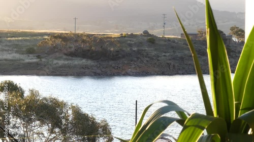 Shoreline lake focus plants mountains background sunset australia alpine