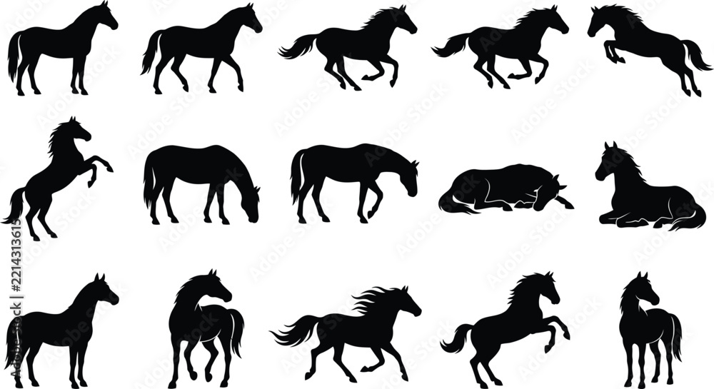 Obraz premium Fifteen black horse silhouettes in various poses including running, jumping, rearing, and grazing isolated on a solid white background surface