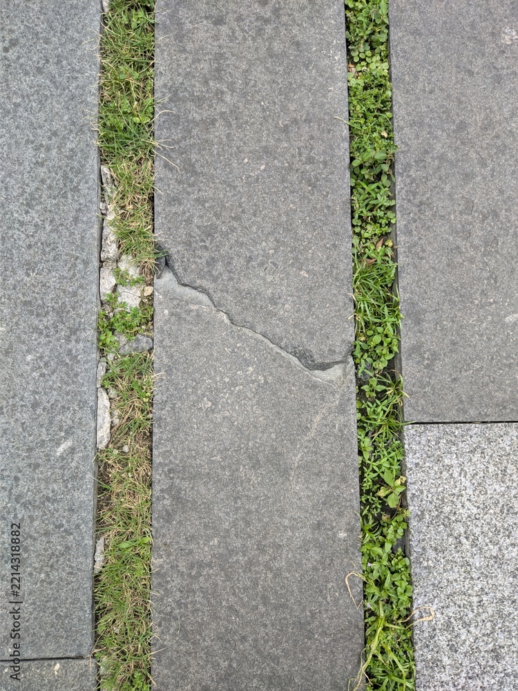 Obraz premium Cracked stone pavement with grass between slabs