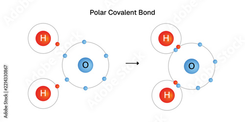 Polar covalent bond formation in a water molecule, vector diagram of hydrogen and oxygen atoms sharing electrons to form H2O, chemistry education illustration