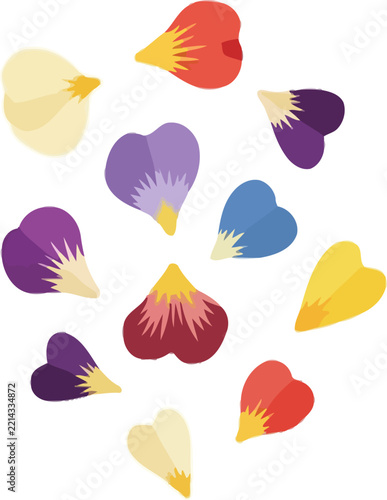Adobe Illustrator Artwork