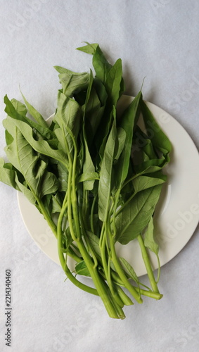新鮮な空芯菜
