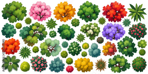 Top view colorful forest trees and plants set for architectural map design