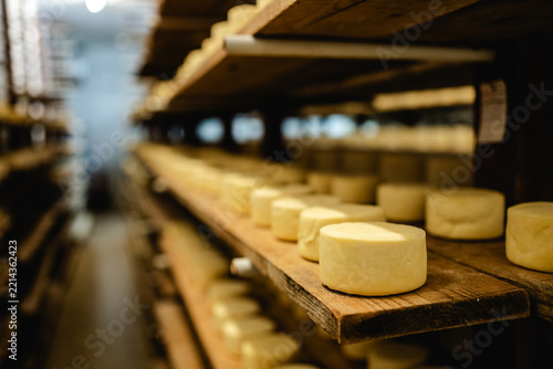 Rows of artisan cheese wheels maturing on rustic wooden shelves inside a traditional dairy cellar, showing a delicious food production process