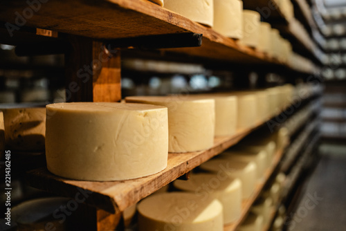 Artisan cheese wheels maturing on wooden shelves in a dimly lit cellar, showcasing traditional food production and aging process