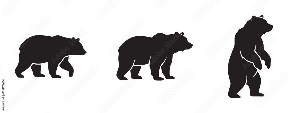 Fototapeta premium Bear silhouettes set with walking and standing poses for wildlife or zoo themes