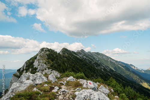 Mountain vibes