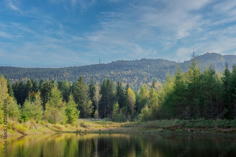 Fototapeta premium Mały staw w Karkonoszach. Brzegi pokrywa żółknąca trawa, staw okala iglasty las. W oddali widać wzniesienia. Las i niebo odbijają się w gładkiej tafli wody.