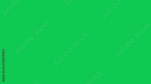 Delicate Flower Petals Raining Down Through a Romantic Scene Green Screen VFX Chroma Key Effect