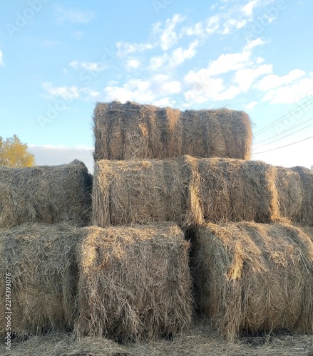 Obraz na plátně Large stacked straw bales under blue sky in Kazakhstan villagе.