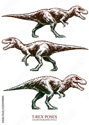 T-rex poses illustration of color engraving style