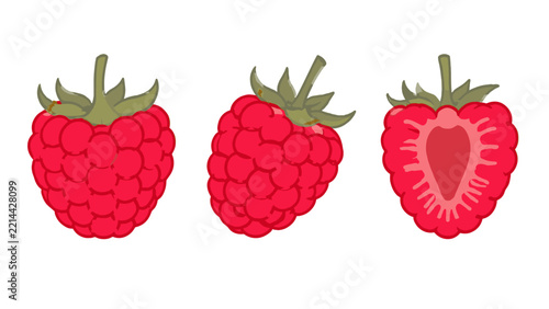 Hand drawn raspberry set with whole berries and a cut half