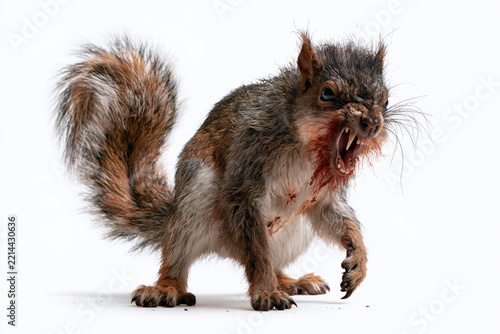 horror werewolf squirrel with brown fur, bloodstained mouth and raised forepaw on white studio background, photorealistic