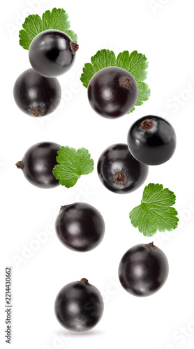 black currant isolated on white background. macro. clipping path