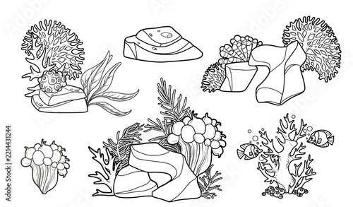 Algae and corals grow on a sandstone, sandstone, corals, fishes sea life set outlined variation for coloring page