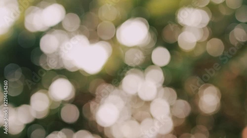 Abstract natural bokeh footage displaying soft out of focus glowing light spots shimmering and flickering through green tree leaves