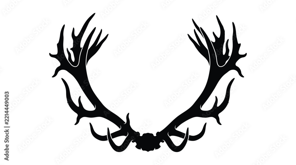 Fototapeta premium Large deer antlers form a striking black silhouette against a white background