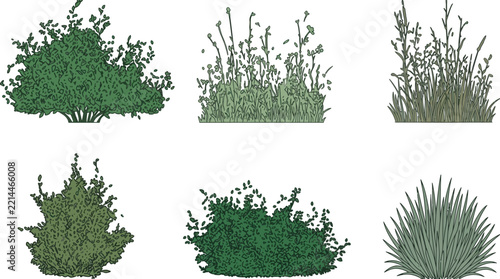 green bush vector and shrub illustration set in landscape elevation view for architectural design projects