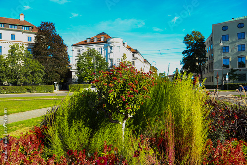 Colorful Autumn Flower Beds at Karolinenplatz in Munich, Germany