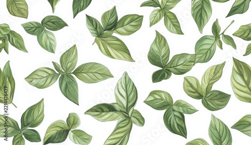 Green Leaves Watercolor Seamless Pattern White Backgrounds