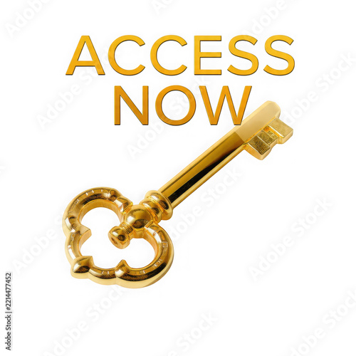 Golden key with access now text