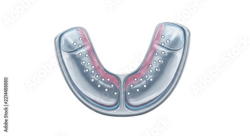 Dental mouth guard isolated on transparent background for oral health