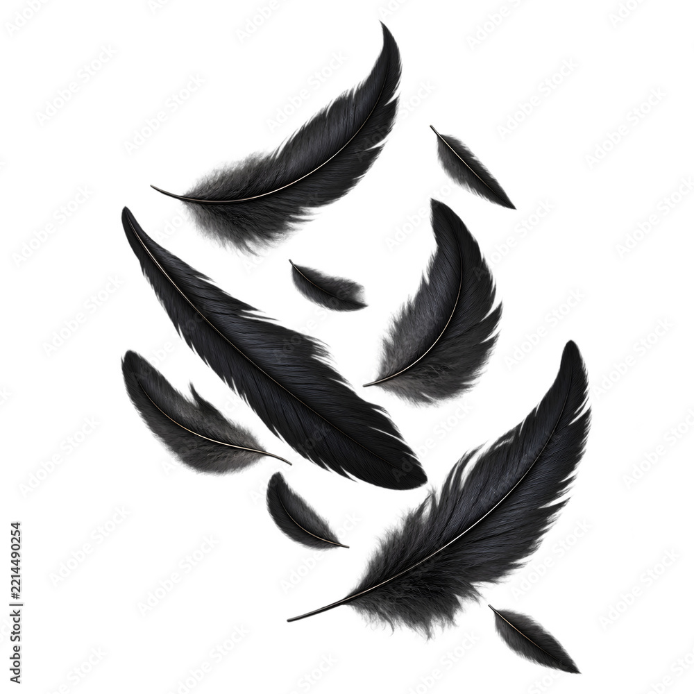 Fototapeta premium Falling Black Raven Feathers Arrangement Isolated on Transparent Background