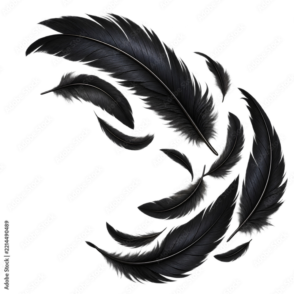 Fototapeta premium Swirling Black Raven Feathers Dynamic Composition Isolated on Transparent Background