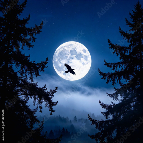Moody Twilight Landscape with Black Crow and Moon