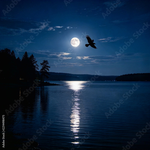 Dark Crow Flying Across a Blue Evening Sky