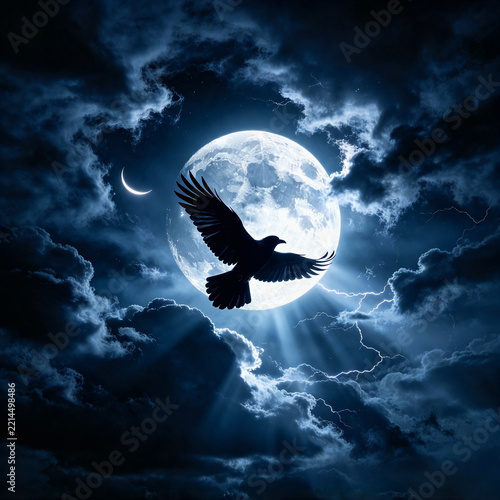 Crow in Flight Over a Misty Valley at Dusk