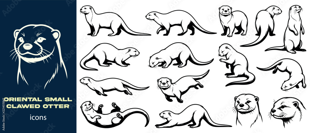 Obraz premium Oriental small-clawed otter icons set for wildlife branding and