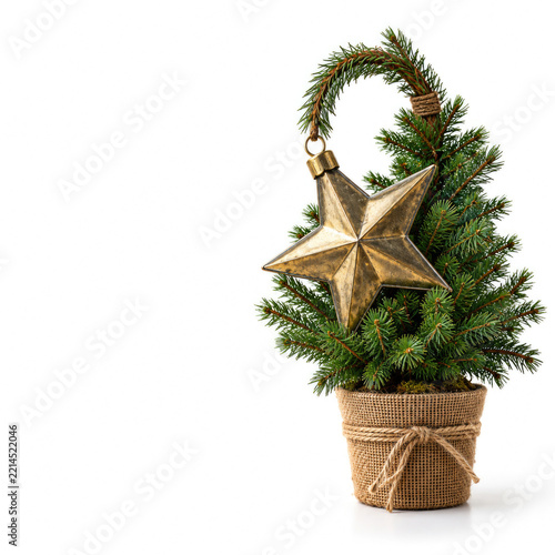 Small Christmas tree with oversized gold star ornament. Space for text.