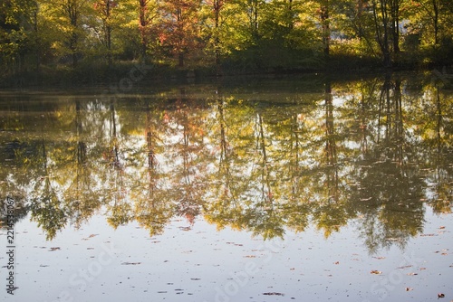 Autumn trees reflected in calm lake water surface
