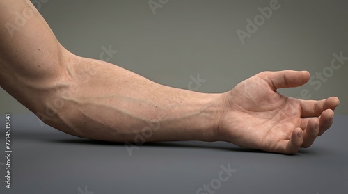 Human forearm and hand showing anatomical veins on a grey background