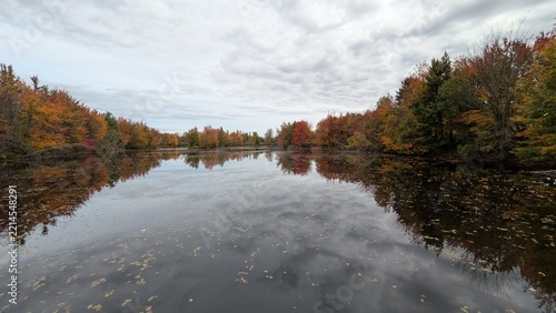 Reflection of trees in fall on a pond