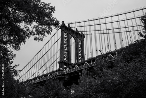 Manhattan Bridge framed by leafy trees in black and white