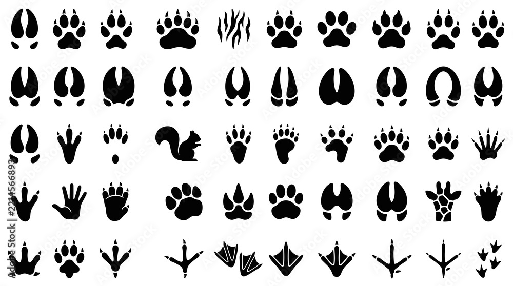 Obraz premium 50 Wild Animal Footprint Silhouette Icons Featuring Deer Wolf Bear Fox Tiger and Hunting Trail Track Vector Illustrations