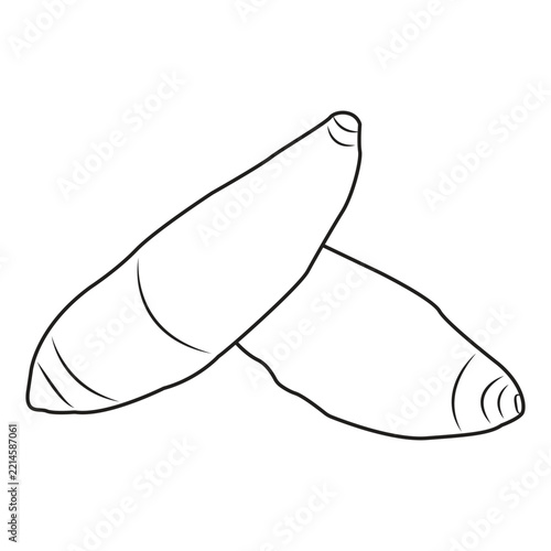 Cassava Root Line Art Vector Illustration for a Coloring Book