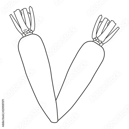 Flat vector illustration of a carrot