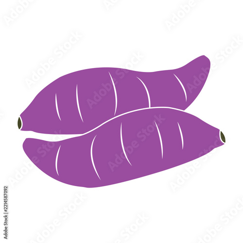 Flat Vector Illustration of Purple Sweet Potato