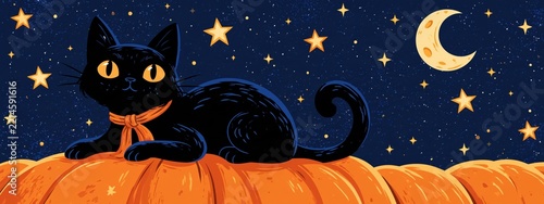 Black cat resting on pumpkin under starry Halloween sky