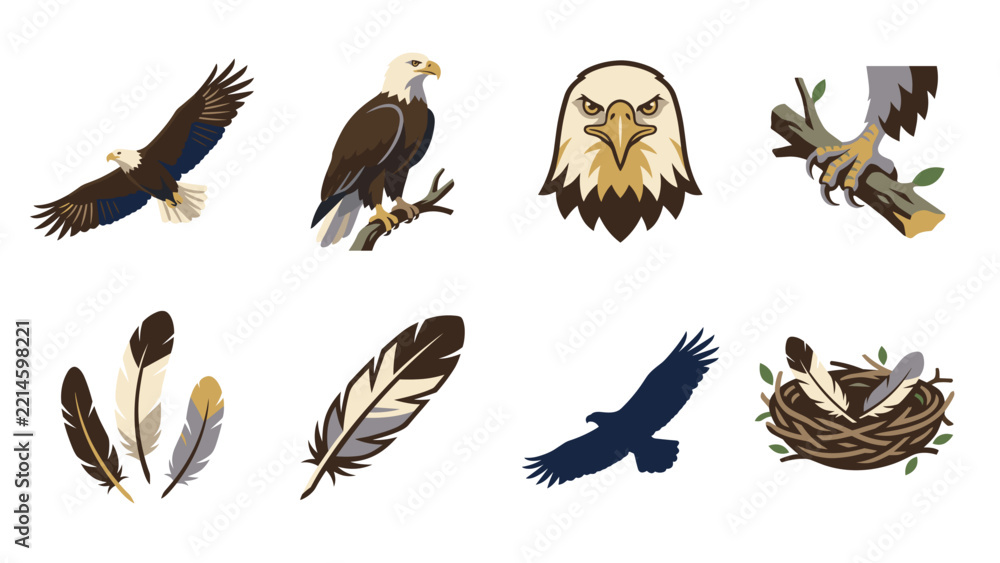Fototapeta premium American Bald Eagle Wildlife Vector Collection with Flight, Feathers, Talons and Nest Elements