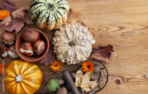 top view on autumnal decor with little squash and decorative gourd, nuts in a...