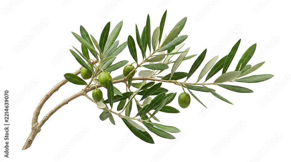 Naklejka premium Olive branch with green olives and leaves on white background
