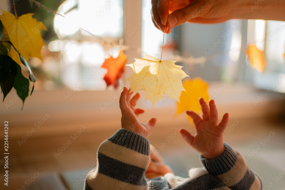 Fototapeta premium Baby boy reaching up with small hands, a parent holding a vibrant maple leaf overhead, exploring textures and bright autumn colors during early childhood development and discovery indoors