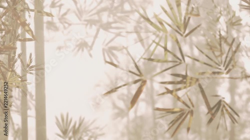 Sunlight filters through tall bamboo plants in a forest. The scene shows blurred green leaves and light, creating an atmosphere of nature. The time is morning and it looks fresh.
