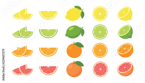 Fresh citrus fruit vector illustration collection featuring lemon lime orange and grapefruit slices halves and whole elements set