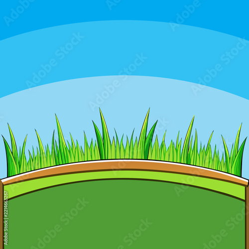 green grass and blue sky